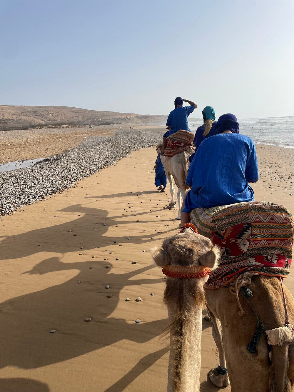 Traditional Moroccan camel ride experience